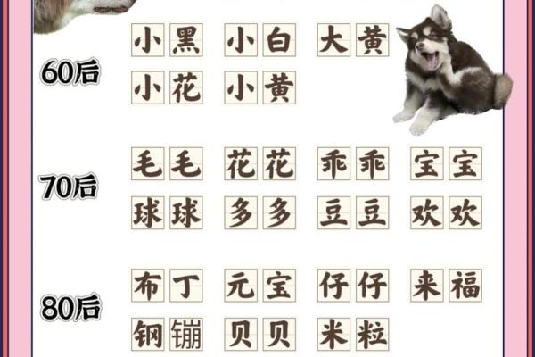 下午三点出生的属狗男孩如何取名，宜用什么字姓名