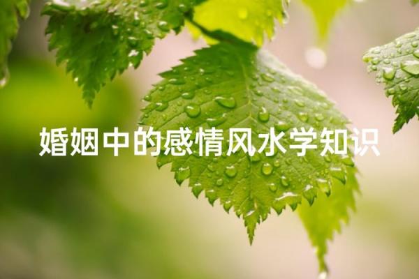 科普关于爱情婚姻的风水小知识
