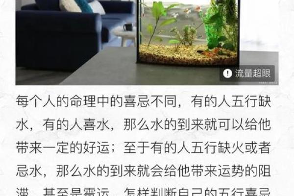 鱼缸里随便养几条鱼就算是风水鱼吗？