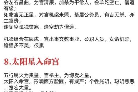 紫薇斗数怎么看命宫6