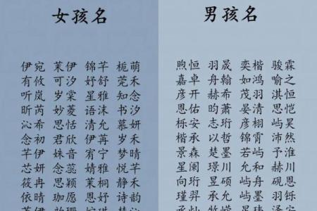 2019年6月11号子时出生的男孩如何起名姓名