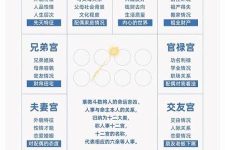 紫微斗数之诸星值限年运气推断：天府星之年