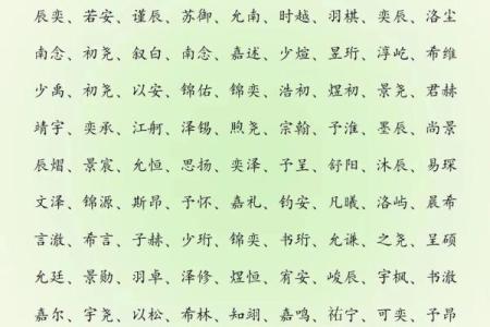 2019年6月12号子时出生的男孩起名时要注意什么姓名