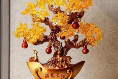 儿童房间风水适合哪些摆件物品