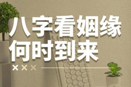 八字结婚时间,八字看结婚时间100例