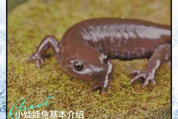 养鱼技术有决窍, 八字精华要记牢