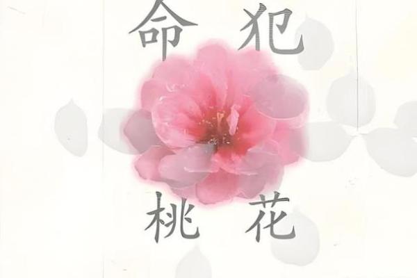 八字中什么桃花魅力最大呢