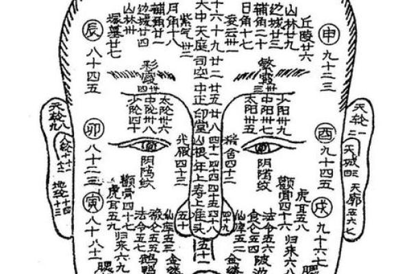 看相算命的准吗