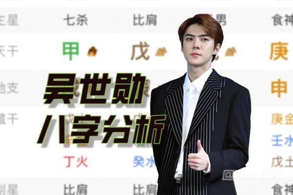 八字看明星