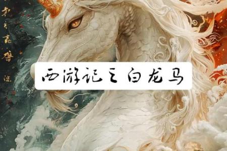 白龙八字