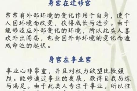 紫薇斗数怀孕生子年份