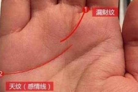 风水解读感情线断开上下两条好不好