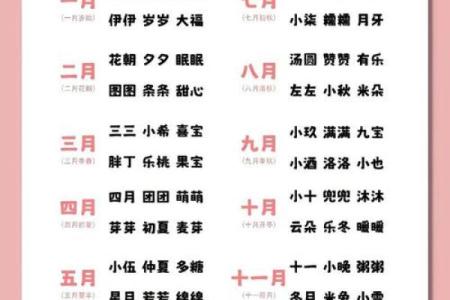 宝宝八字取名