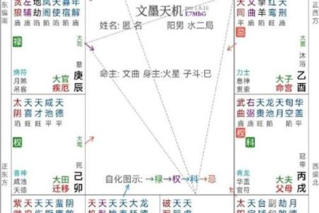 紫薇斗数的命宫是怎么坐的