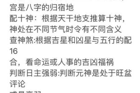 看相算命的准吗