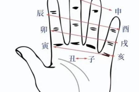 八字木多