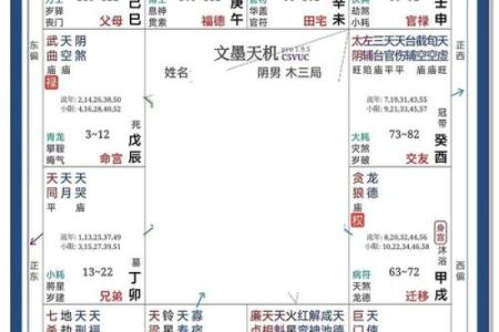 紫微斗数算命详解 紫微斗数测算命运？