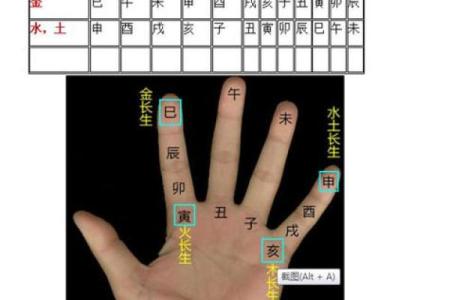 八字算命在线免费解析，准确预测未来，为您指引人生转折点