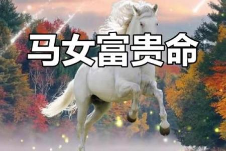 心理测试：选出一匹富贵马，测你是不是天生的富贵命