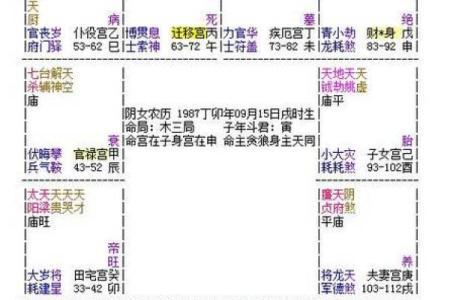紫薇斗数好准