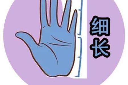 手型算命：水型人的性格与命运