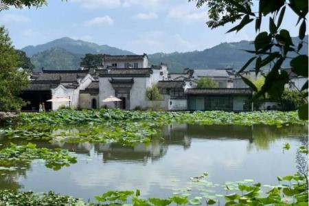 风水的建筑_传统风水文化所体现的建筑美学有哪些