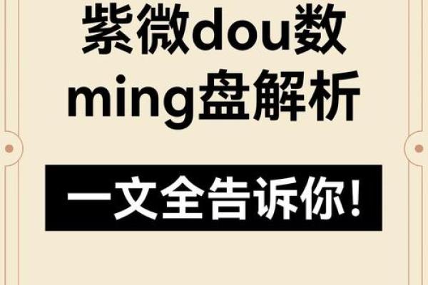 紫薇斗数定盘多少钱