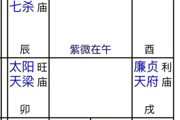 女命+紫薇斗数