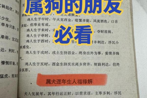 八月份出生的属狗男孩应该如何取名字姓名