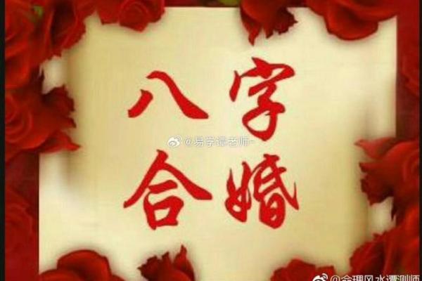八字合婚精批是什么意思