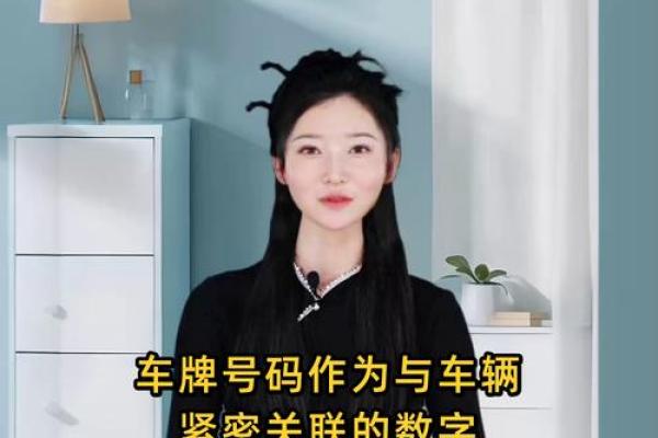 车辆号码吉凶紫薇