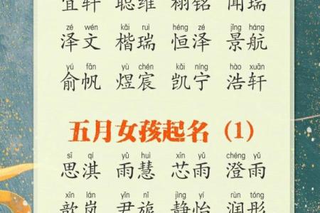 怎样来给属猪亥时出生的男孩起名姓名