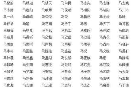 马姓男孩名字大全-马姓男孩起名字大全-马姓名字大全姓名