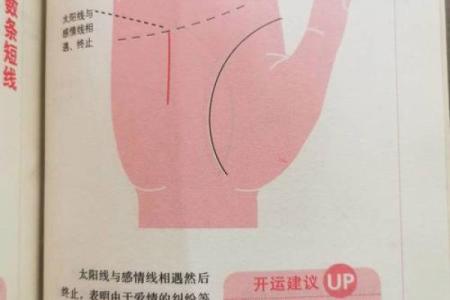 手相太阳线揭秘算命图解大全