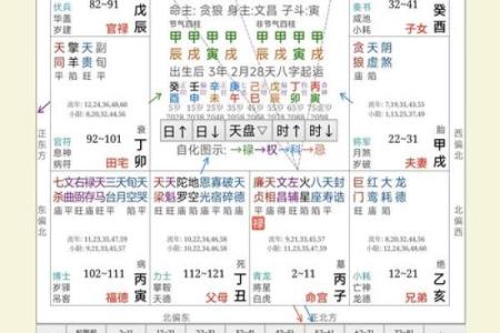 天厨紫薇斗数
