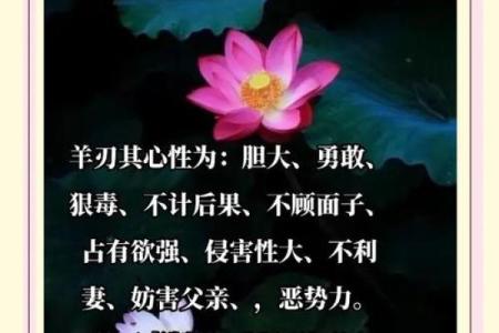 阳刃的八字