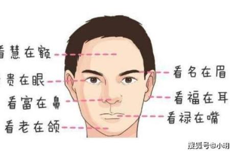 耳朵面相算命