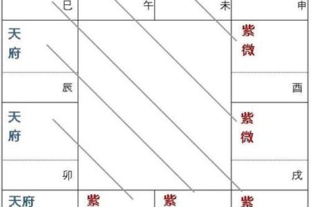 紫微斗数之疾厄宫与诸星，天同星在疾病宫是什么意思？