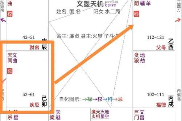 紫薇斗数紫薇化忌