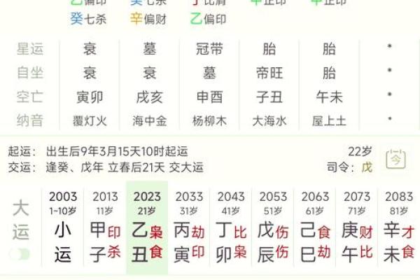 国际八字排盘