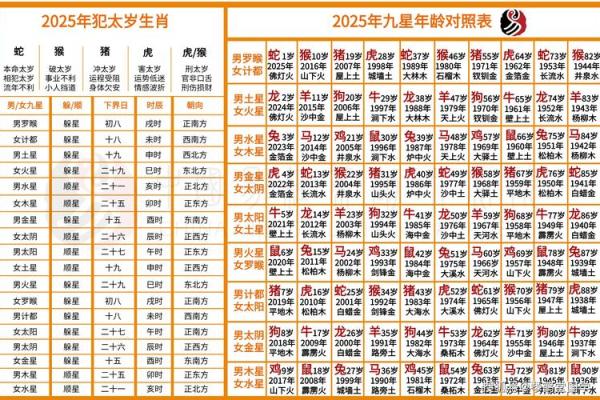 算命讲命硬
