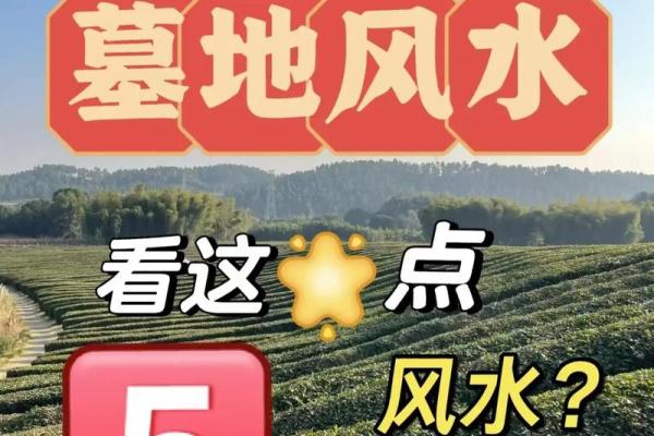 选墓地的最好风水是什么