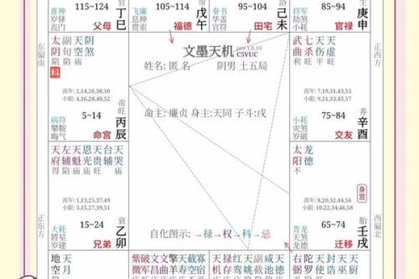 紫微斗数子女宫禄存星详解 子女宫碌存？