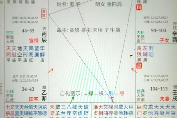 紫薇斗数身宫在哪