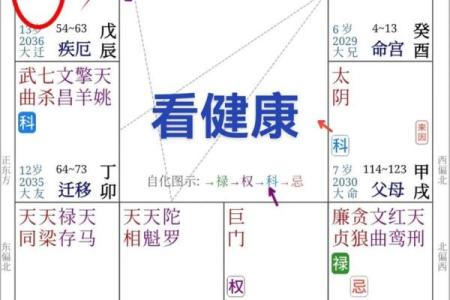 紫微斗数太阳太阴在疾厄宫
