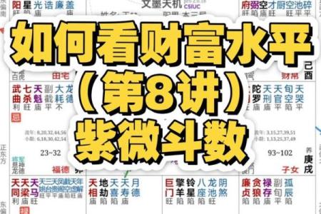 紫薇斗数疾厄宫看财富