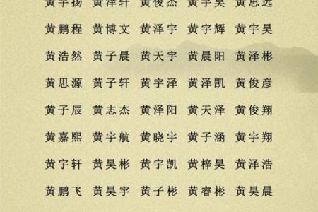 2019年3月24号辰时出生的男孩起名时要注意什么姓名