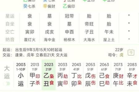国际八字排盘