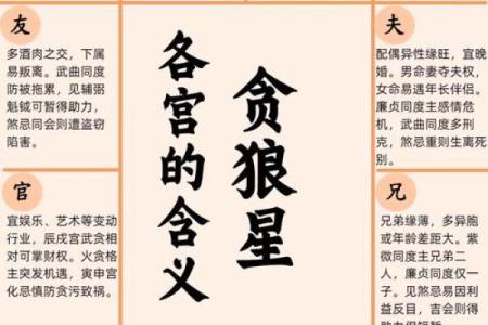 免费算命 异性缘很好的女命有哪些