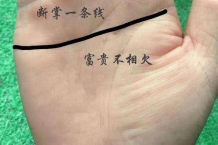 断掌纹看相算命图解